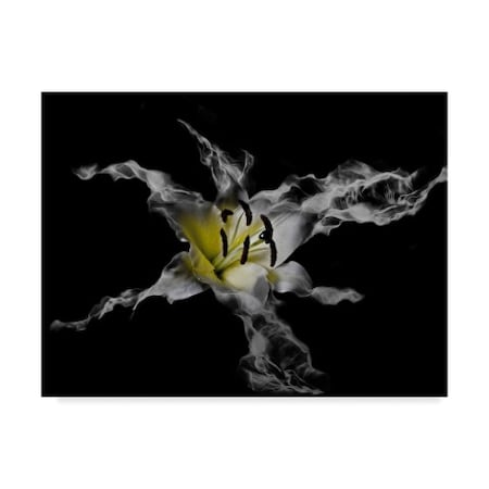Lori Hutchison 'Yellow Lily' Canvas Art,18x24